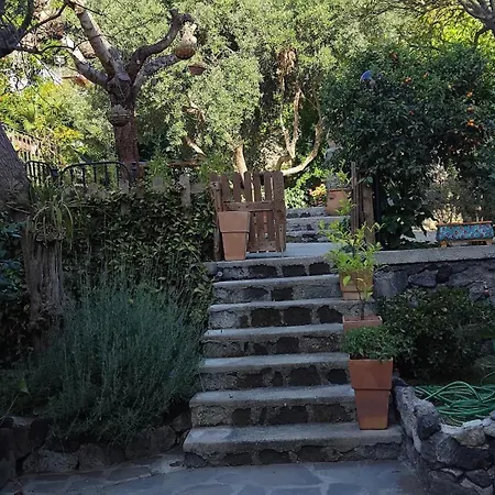 Al Galletto Apartamento Barano dʼIschia